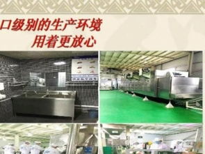開啟寵物食品事業新藍海 天然鮮肉犬糧代理與代工合作指南