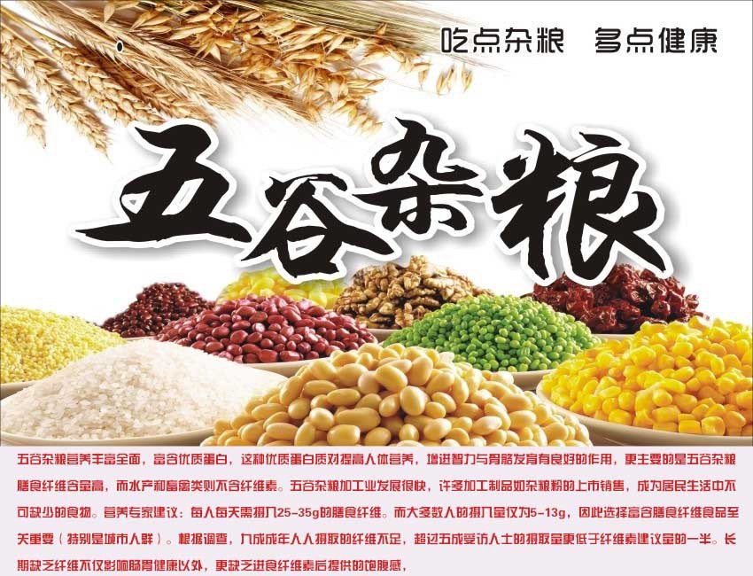 黑龍江灰扁豆 東北特產，天然鳥食與優質食品代理之選